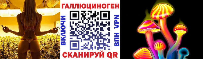 Псилоцибиновые грибы GOLDEN TEACHER  сколько стоит  ОМГ ОМГ зеркало  Усть-Джегута 